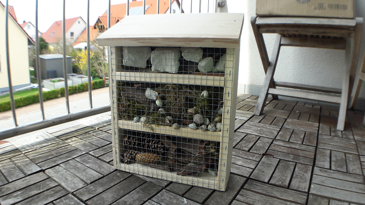 Insect Hotel Front View